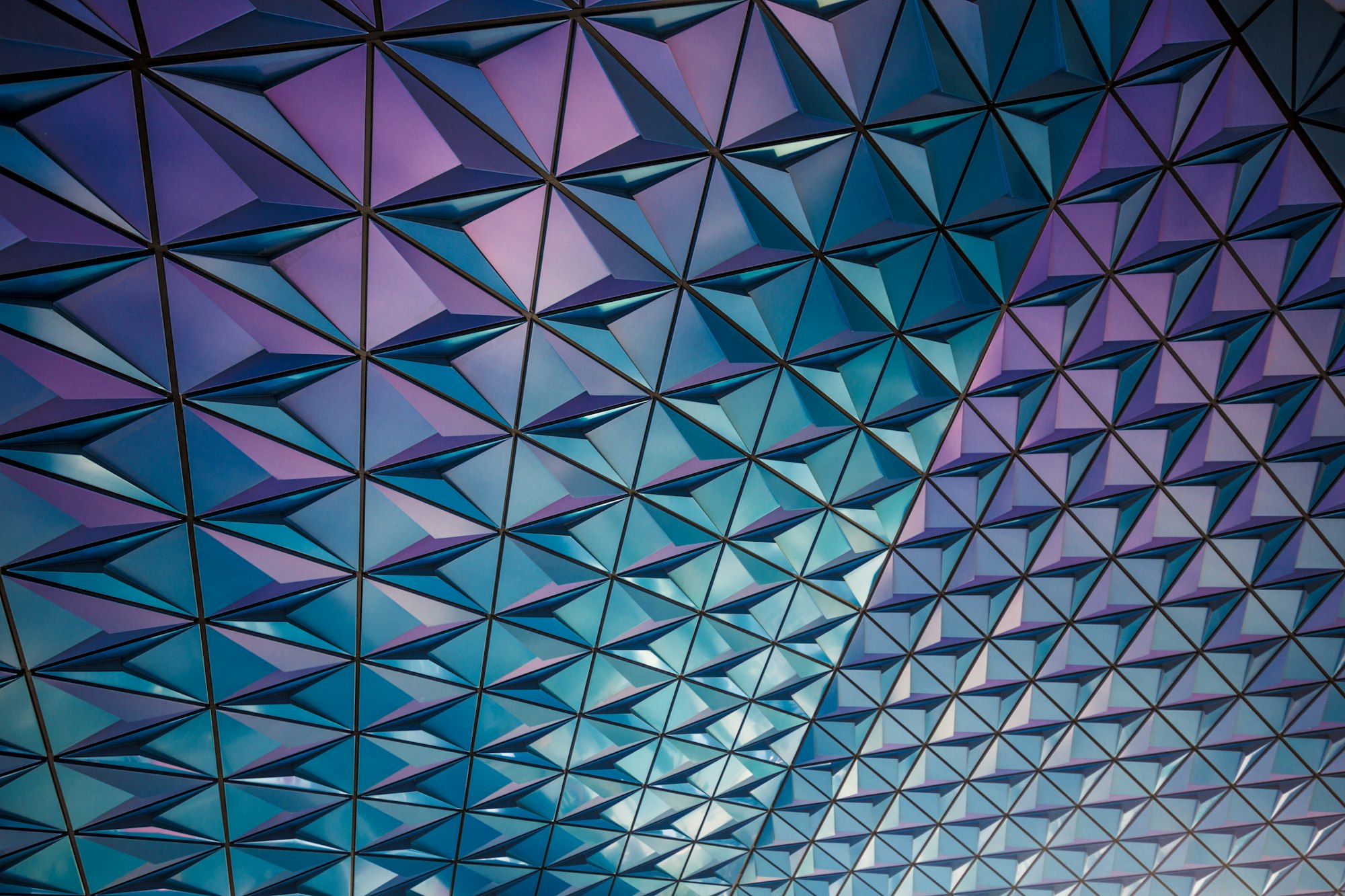 Stellar dcMOMO Event: Digital Media and Mobile Content